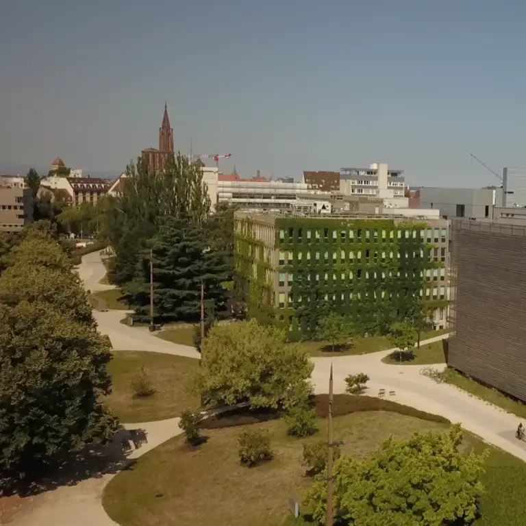 Vue aérienne d'un bâtiment écologique recouvert de végétation, entouré d'arbres et d'allées, avec en arrière-plan des immeubles urbains et le clocher d'une église sous un ciel dégagé — un exemple inspirant d'architecture durable susceptible d'attirer le mécénat et des donateurs engagés, désireux de soutenir des initiatives urbaines écologiques au profit des futurs bénéficiaires.