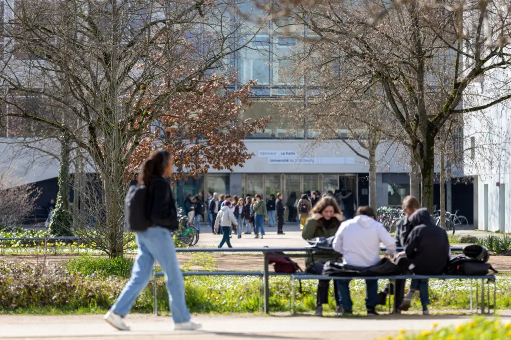 Des étudiants sont assis sur des bancs tandis que d'autres marchent ou se tiennent debout sous des arbres dénudés dans la cour du campus, avec en arrière-plan un bâtiment universitaire aux façades vitrées.