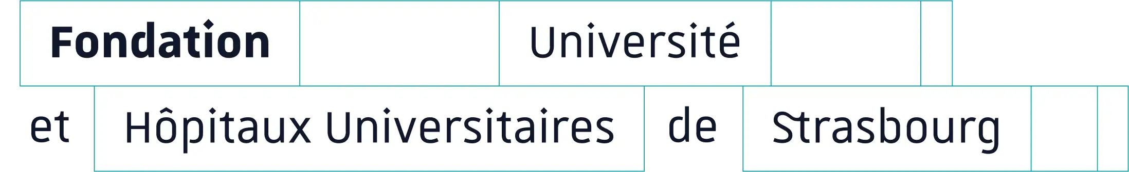 Logo comportant l'inscription « Fondation Université et Hôpitaux Universitaires de Strasbourg », présenté dans une mise en page segmentée bordée de bleu sur fond blanc.