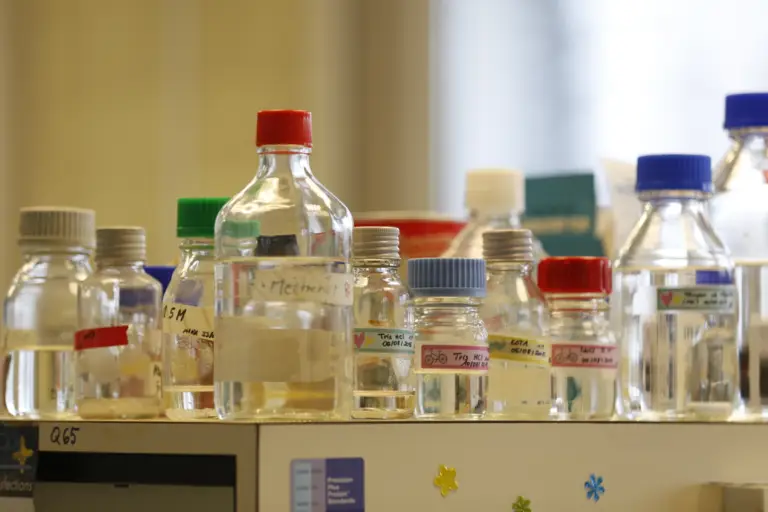 Plusieurs flacons et bocaux de laboratoire transparents, munis d'étiquettes manuscrites et de bouchons colorés, sont disposés sur une surface blanche dans un décor de laboratoire, reflétant l'esprit d'excellence en matière de recherche et de formation.