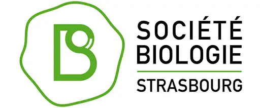 Logo abstrait vert en forme de « B », comportant le texte « Société de Biologie de Strasbourg » en noir et vert, sur fond blanc, créé pour le prix de thèse 2021.