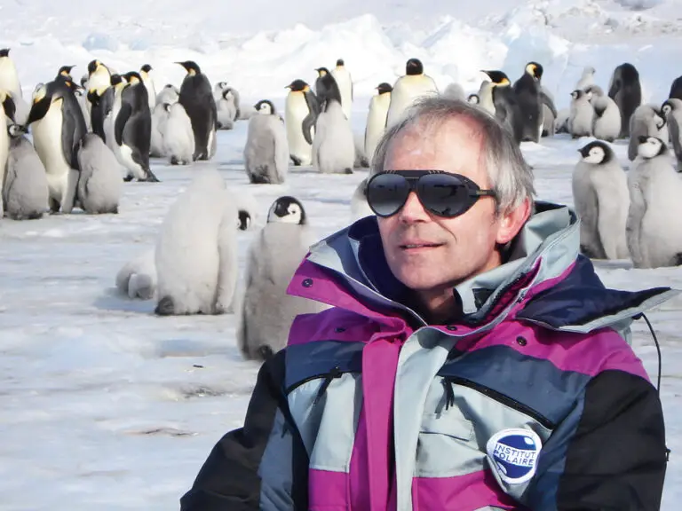 Un homme vêtu d'habits d'hiver est assis sur la glace, avec en arrière-plan un groupe de manchots empereurs et de leurs poussins, accompagné d'un robot « faux-manchot » mis au point dans le cadre des recherches novatrices d'Yvon Le Maho sur le comportement de ces oiseaux remarquables.